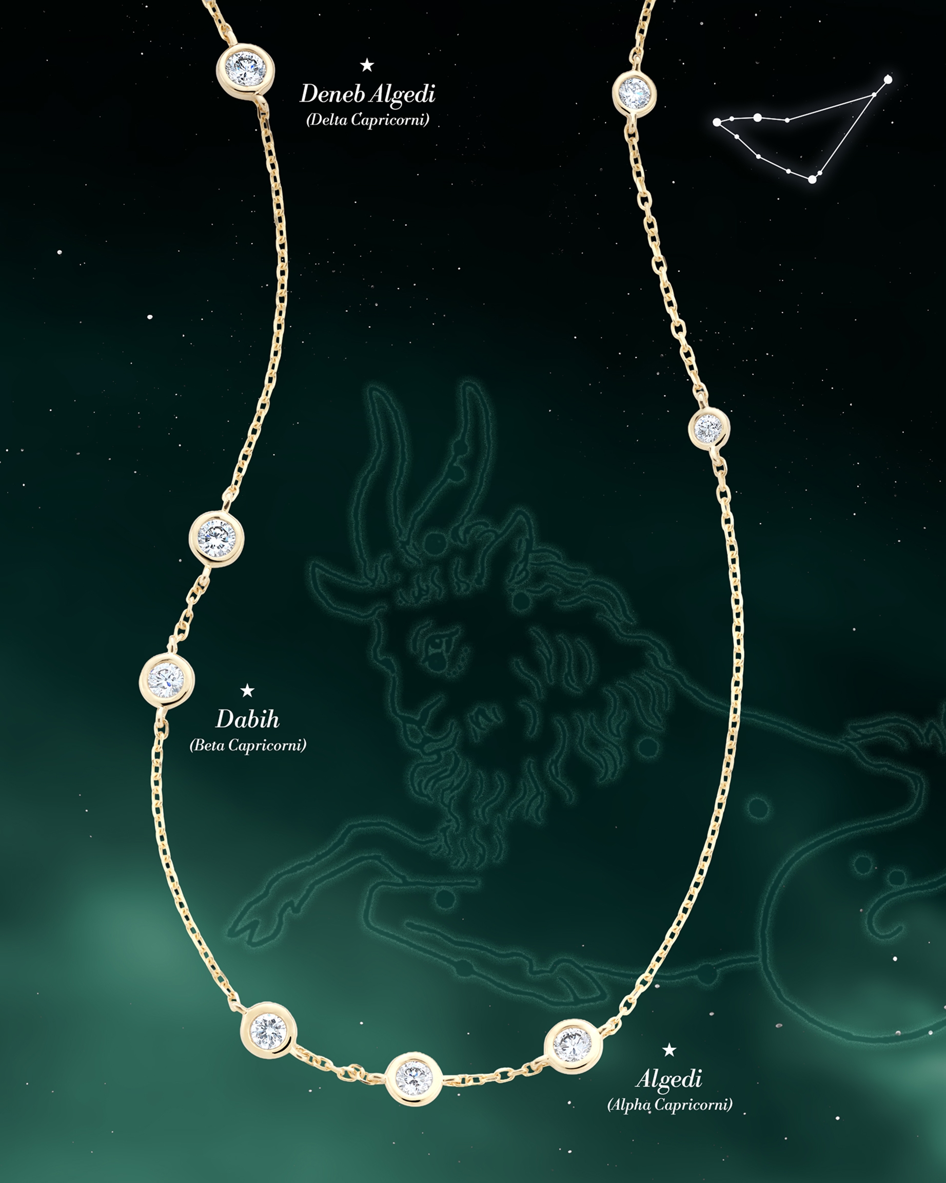 Capricorn constellation