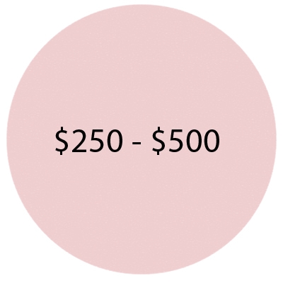 $250 - $500