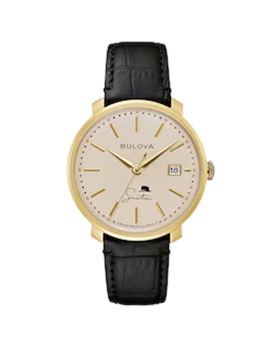 Image of men's gold and tan mechanical movement watch.