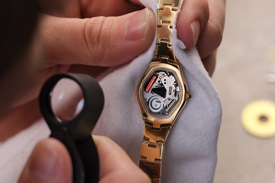 Anatomy of a watch the Movement.